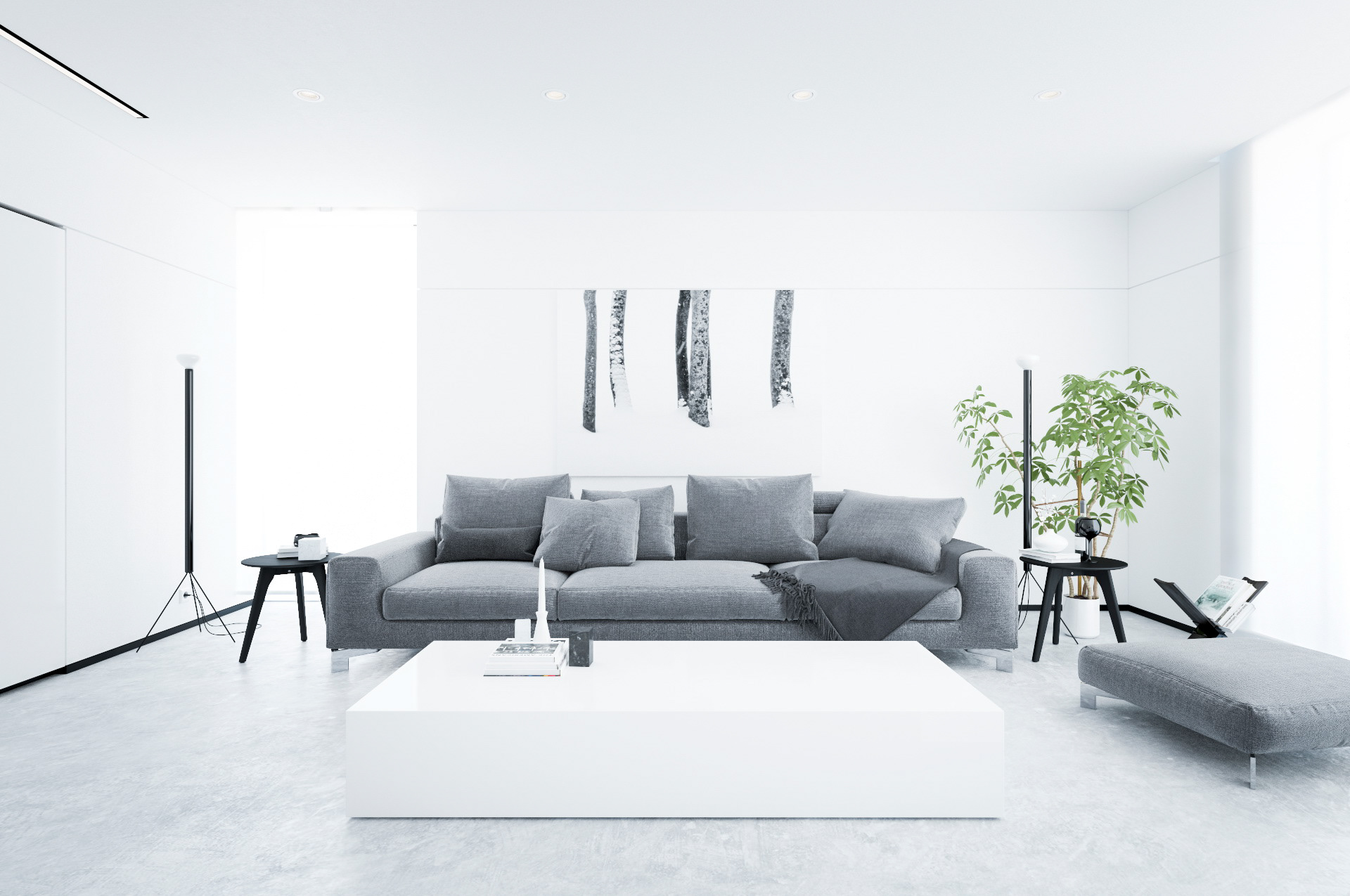 Jasny minimalistyczny salon w apartamencie 62m2 z szarą sofą, białym stolikiem, roślinami i czarnymi detalami